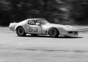 Mike Schmid's GT-1 Chevy Corvette