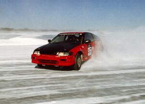 Troy Greenberg / Tim Young Honda CRX