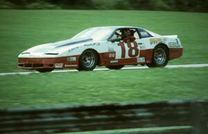 Mike Ciasulli's Pontiac Firebird