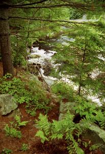 View of a roadside waterfall in Maine