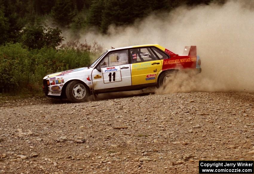 Ivan Orisek / Olga Orisek Audi 4000 Quattro loop it under braking on SS6 (Parmachenee West)