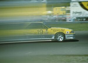 Steve Saleen / George Follmer Ford Mustang GT