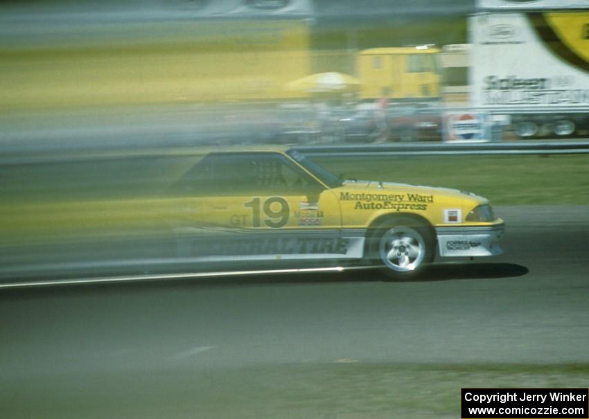 Steve Saleen / George Follmer Ford Mustang GT