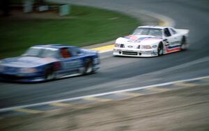 Ron Fellows' and Dorsey Schroeder's Ford Mustangs