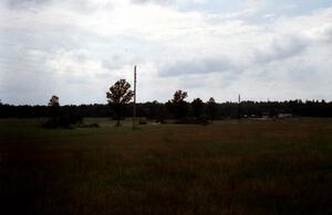 Downed tree damage in the infield between turns 6 and 4