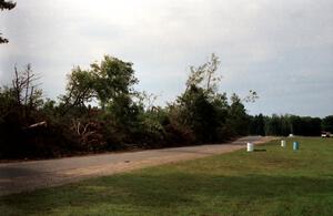 Trees blown down on the return road between turns 9 and 10