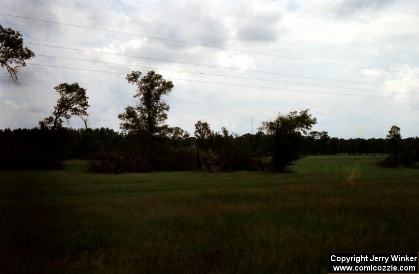 Downed tree damage in the infield