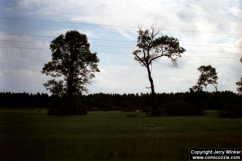 Downed tree damage in the infield