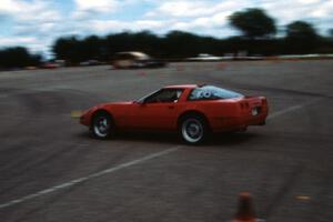 Lyle Nienow's ASP Chevy Corvette