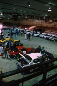 Parc Expose inside Dee Stadium in Houghton.