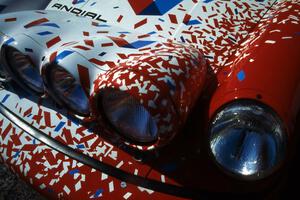 Detail of the Jeff Zwart / Martin Headland Porsche Carrera 4.(1)