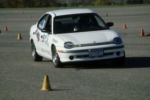 Todd Freeman's E Stock PRO Dodge Neon