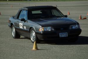 Larry Kastner's F Stock Ford Mustang