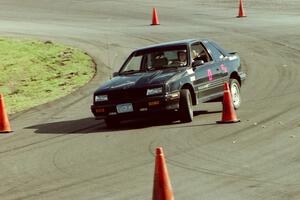 Carl Wieman's G Stock Dodge Shadow