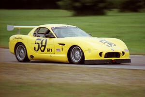 Gary Curtis' GT-1 Panoz Esperante