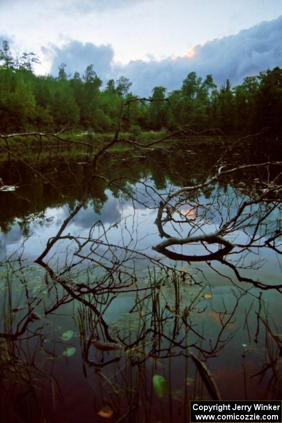 John Lloyd / Pauline Gullick Hyundai Tiburon reflected against a lake on SS4, Blue Trail.