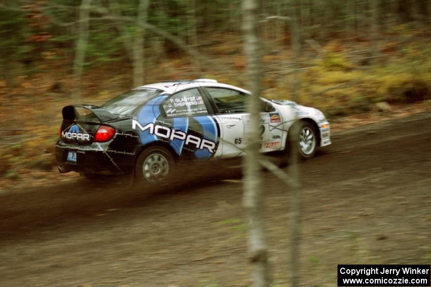 Doug Shepherd / Pete Gladysz Dodge SRT-4 near the start of SS1, Herman.