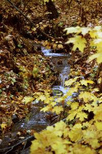 A small stream near the start of Gratiot Lake II.