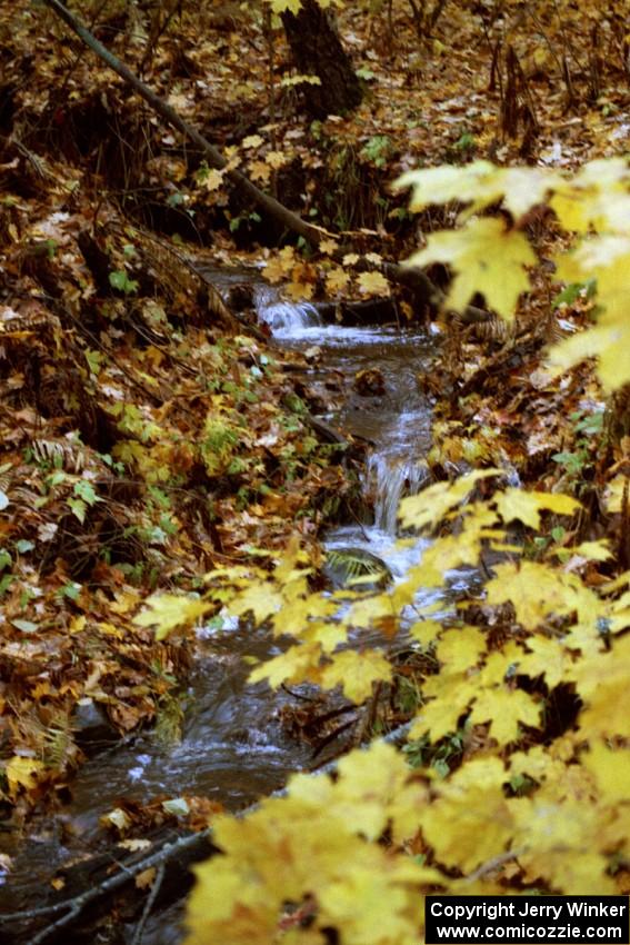 A small stream near the start of Gratiot Lake II.