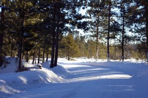 An example of the fine roads that Montmorency County has to offer competitors.