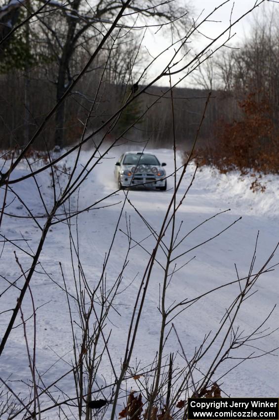 Doug Shepherd / Bob Martin Dodge SRT-4 at speed on SS1.