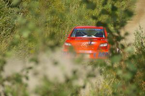 Matthew Johnson / Wendy Nakamoto Subaru WRX blasts down a straight on on SS10, Chad's Yump.