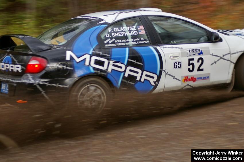 Doug Shepherd / Pete Gladysz Dodge SRT-4 heads uphill near the start of SS1, Herman.