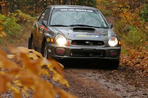Dave Anton / Alan Ockwell Subaru WRX STi at speed in the final uphill section of Gratiot Lake, SS7, before the finish.