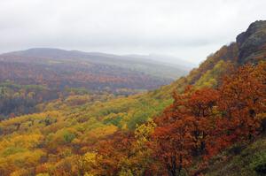 The view atop Brockway Mountain in the rain during peak colors was awesome!