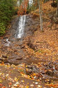 Freshly fallen yellow leaves surround Haven Falls just to the west of Lac La Belle, MI