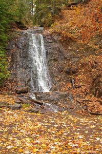 Freshly fallen yellow leaves surround Haven Falls just to the west of Lac La Belle, MI