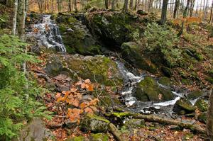 Wyandotte Falls near Lake Roland, MI in Twin Lakes State Park