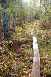 A portion of the hiking trail to Okun-de-kun Falls was a boardwalk across several bogs.