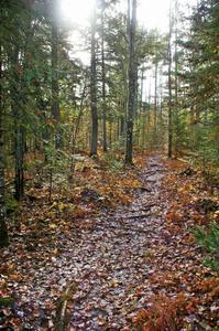 A view of the hiking trail to Okun-de-kun Falls.