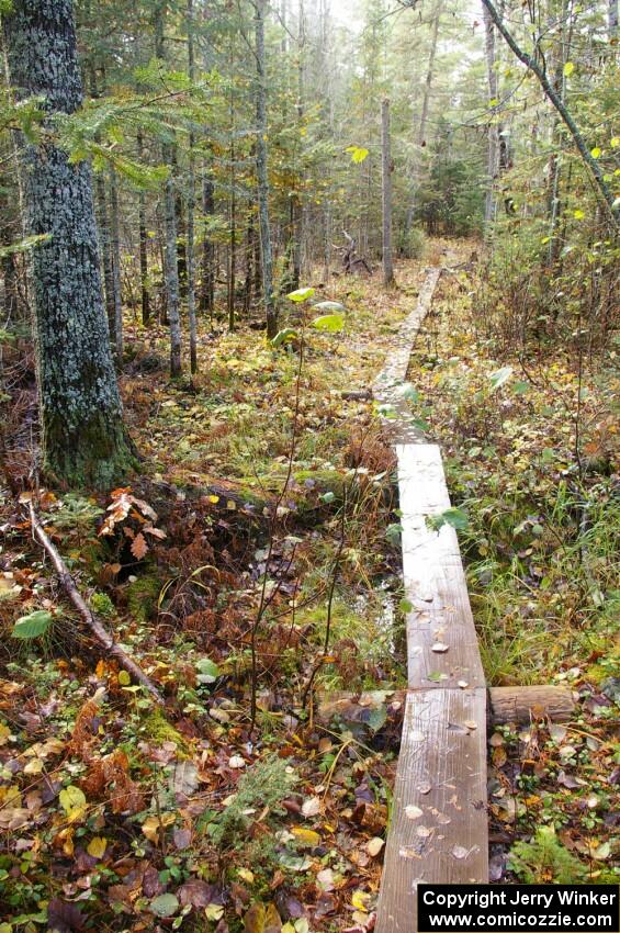 A portion of the hiking trail to Okun-de-kun Falls was a boardwalk across several bogs.