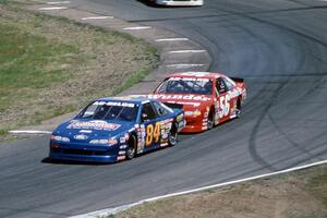 Bob Senneker's Ford Thunderbird and Brett Bell's Ford Thunderbird