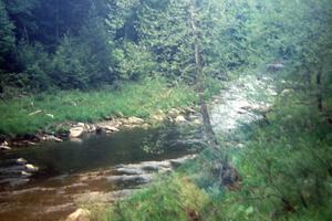 View of the drive to the Stony Fork Creek crossing.