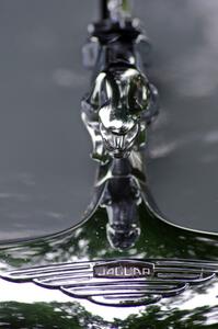 Jaguar hood ornament