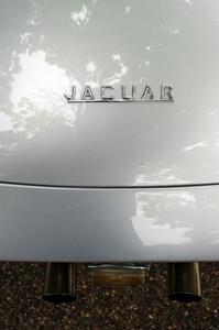 Jaguar XKE detail