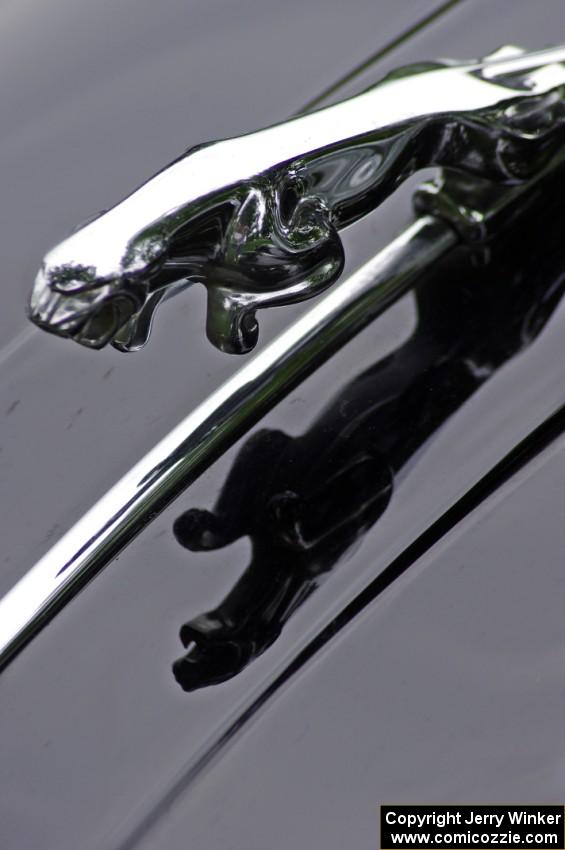 Jaguar hood ornament