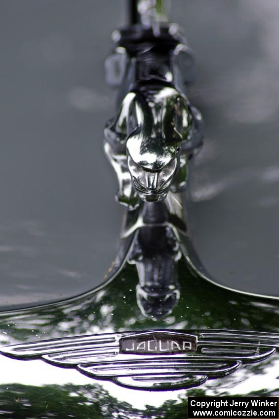 Jaguar hood ornament