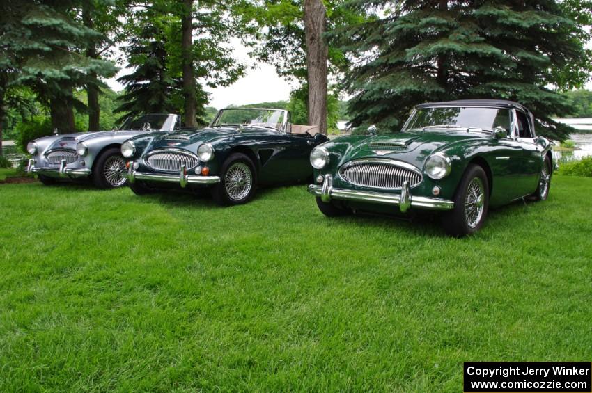 Austin-Healey 3000s