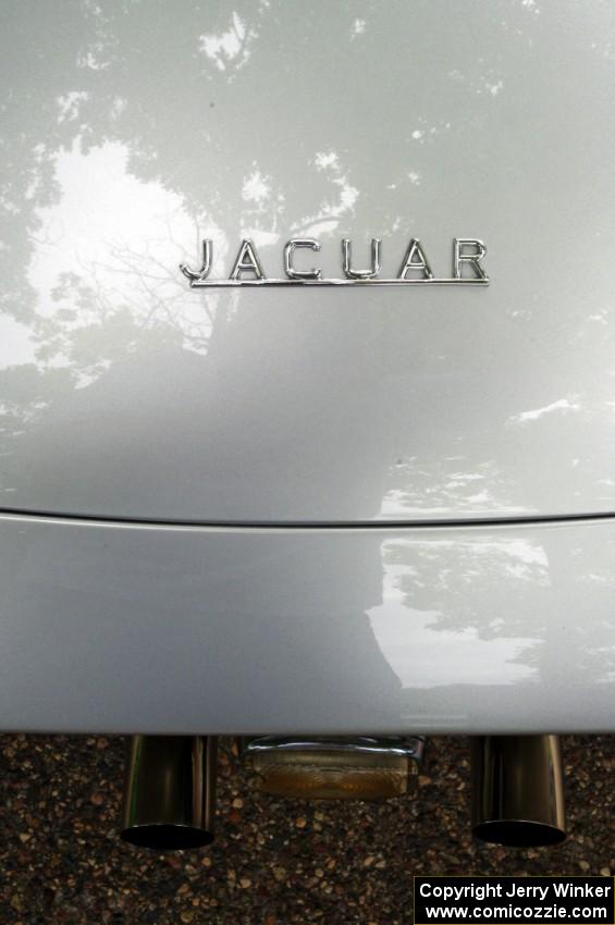 Jaguar XKE detail