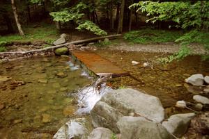 A walking path across the stream near SS2, Asaph Run.