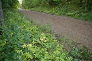 Sans Thompson / Craig Marr Dodge Neon at speed into a hairpin on SS3.