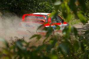 Alfredo DeDominicis / Massimo Daddovei prepare to rocket down a short straight on SS9 in their Mitsubishi Lancer Evo VII.