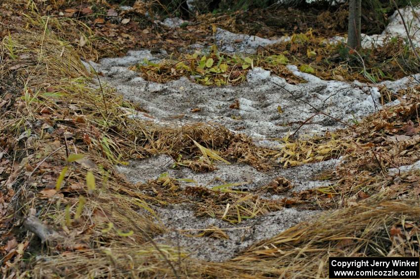 Dirty gravel on top of the snow on the outside of the first big sweeper on SS1, Herman.