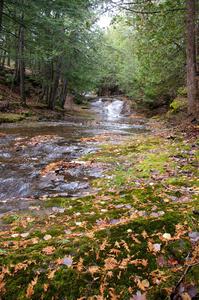 Little Union Gorge Falls