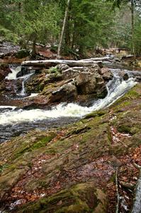 Overlooked Falls