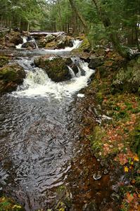 Overlooked Falls